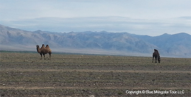 Active Adventure Safari Tour Adventure Travel in Mongolia Image 17