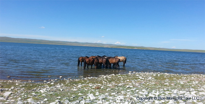 Active Adventure Safari Tour Highlights Mongolia Jeep Travel Image 01