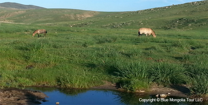 Active Adventure Safari Tour Highlights Mongolia Jeep Travel Image 2