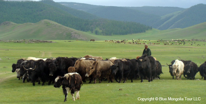 Active Adventure Safari Tour Highlights Mongolia Jeep Travel Image 3