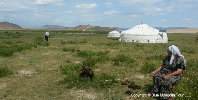 Active Adventure Safari Tour Mongolian Miracle Adventure Image 18