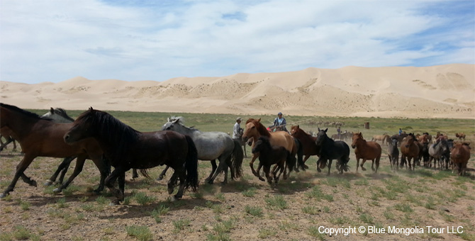 Mongolia Discovery Tours Beautiful Mongolia Travel Image 11