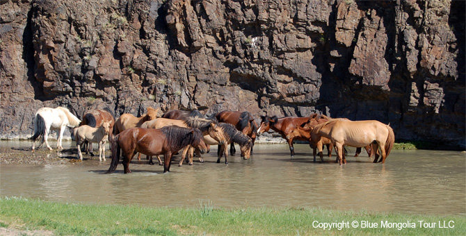 Mongolia Discovery Tours Blue Mongolia Travel Image 10