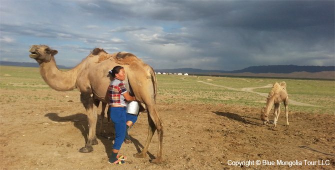 Mongolia Discovery Tours Blue Mongolia Travel Image 6