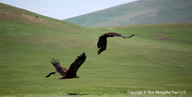 Mongolia Discovery Tours Central Part of Mongolia Travel Image 10