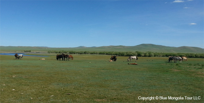 Mongolia Discovery Tours Central Part of Mongolia Travel Image 2