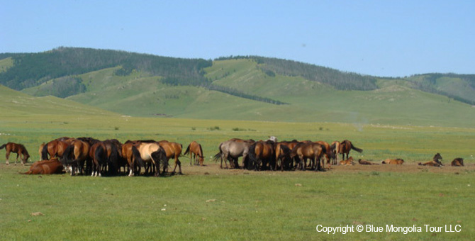 Mongolia Discovery Tours Family Vacation-Travel Image 2