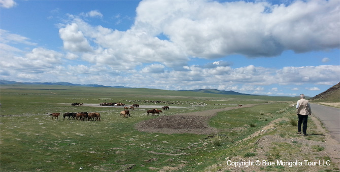 Mongolia Discovery Tours Mongolia Classic Travel Image 10