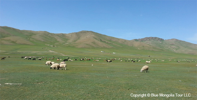 Mongolia Discovery Tours Mongolia Complete Travel Image 13