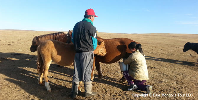 Mongolia Discovery Tours Mongolian Nomads Tour Image 7