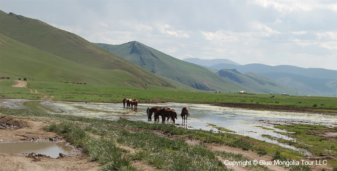 Mongolia Discovery Travel Come to Mongolian Nomads tour Image 01