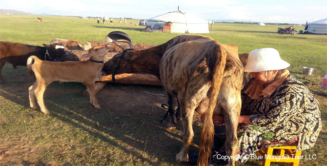 Mongolia Discovery Travel Come to Mongolian Nomads tour Image 4