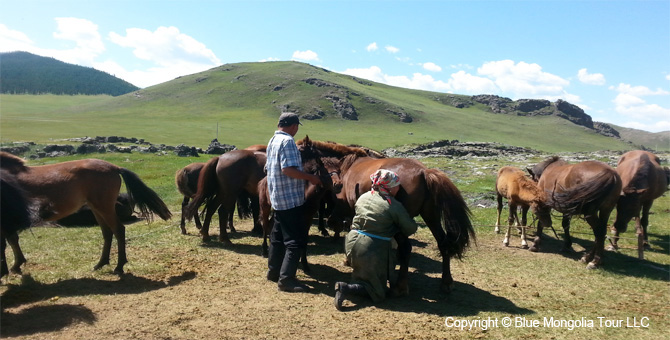 Mongolia Discovery Travel Discover Mongolia Tour Image 7