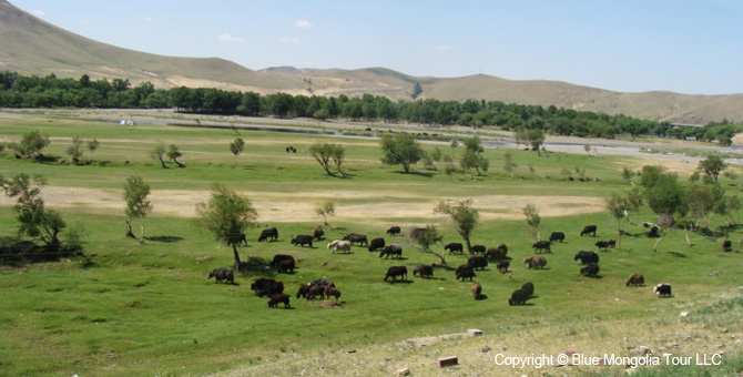 Mongolia Discovery Travel Mongolia Discovery Tour Image 5