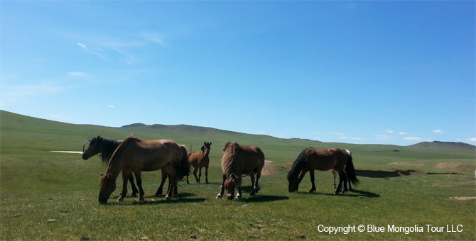 Mongolia Discovery Travel Mongolia Discovery Tour Image 9