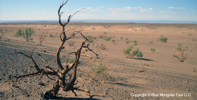 Mongolia Discovery Travel Mongolian Gobi Travel Image 12