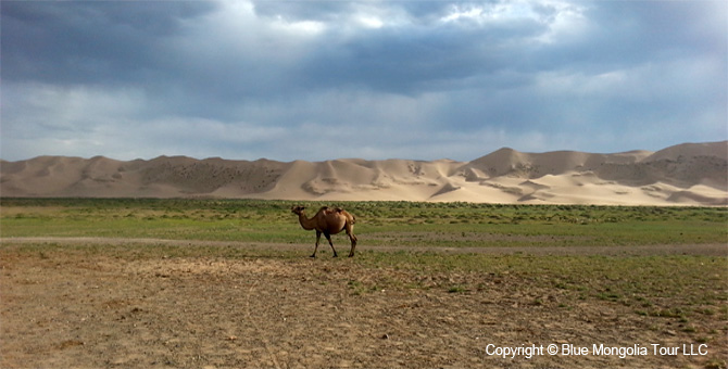 Mongolia Discovery Travel Mongolian Gobi Travel Image 6