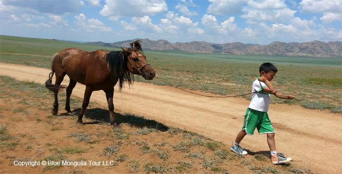 Tour Cultural Religion Tour Mongolian Culture Travel Image 18