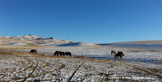 Tour Festival Enjoy Tour Mongolian New Year Holiday Image 5