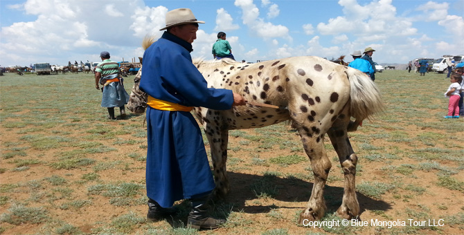 Tour Festival Enjoy Tour Naadam Games Nomads Holiday Image 