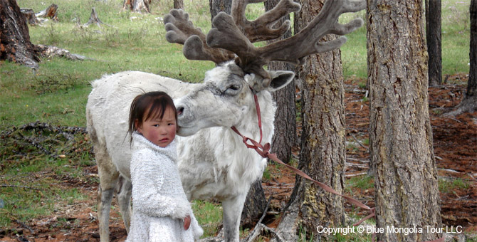 Tour Festival Enjoy Tour Reindeer Festival Travel Image 3