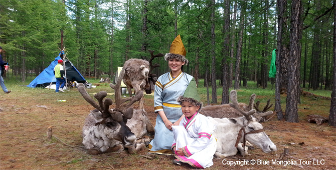 Tour Festival Enjoy Tour Reindeer Festival Travel Image 6