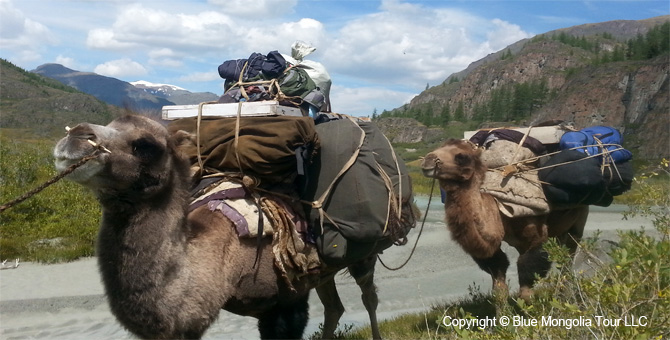 Tour Short Day Tour Altai Mountains Hiking Travel Image 16