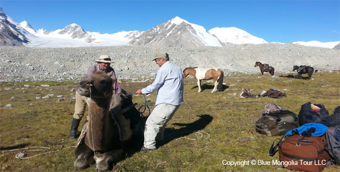 Tour Short Day Tour Altai Mountains Hiking Travel Image 17