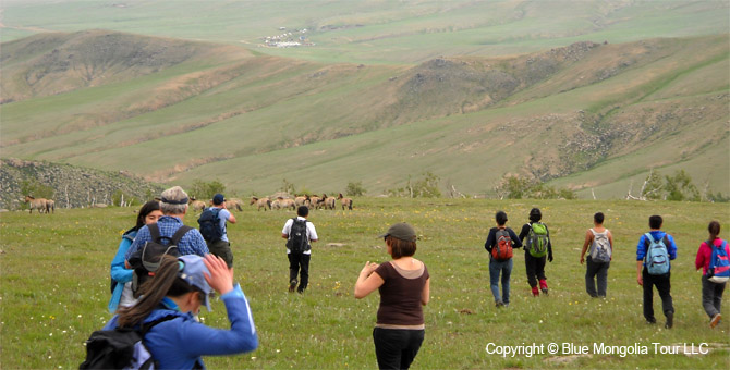 Tour Short Day Tour Khangai Mt National Park Image 2