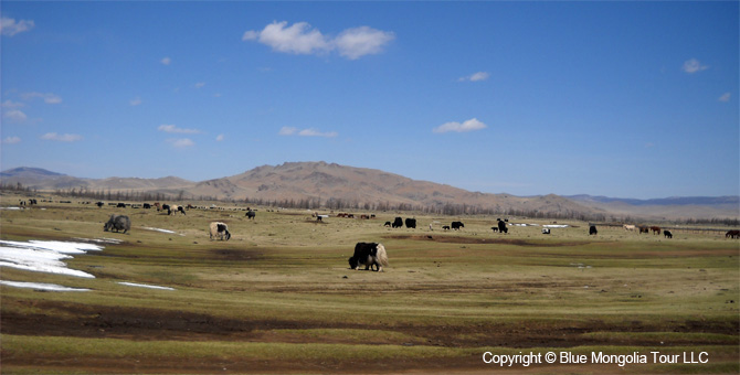 Tour Short Day Tour Khentii Mountains Hiking Travel Image 18