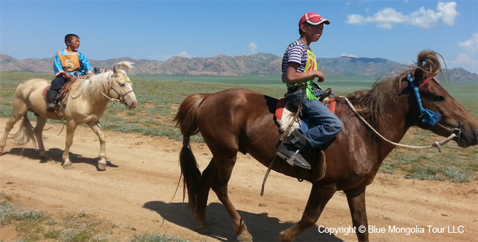 Tour Homestay Mongolia Tour Homestay Horse Breeder Family Image 9