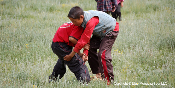 Tour Homestay Mongolia Tour Homestay Sheep Herder Family Image 9