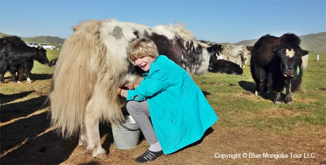 Tour Homestay Mongolia Tour Homestay Yak Herder Family Image 5