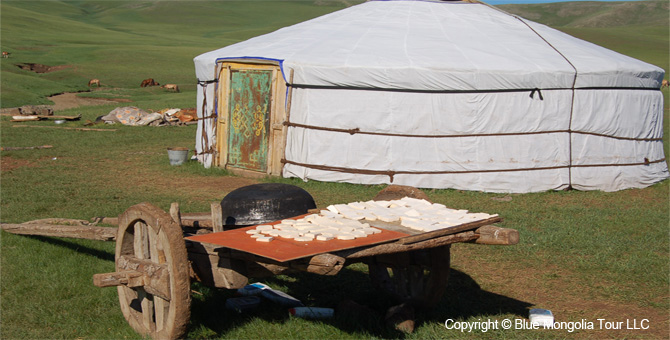 Tour Homestay Mongolia Tour Homestay Yak Herder Family Image 8