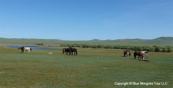 Tour Nature Outdoor Camp Tours All Around Mongolia Image 01