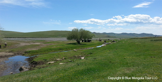 Tour Nature Outdoor Camp Tours All Around Mongolia Image 6