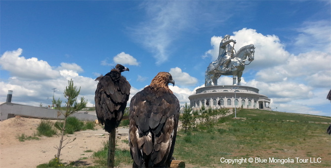 Tour Nature Outdoor Camp Tours Birdwatching Eco Travel Image 01