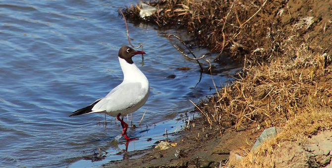 Tour Nature Outdoor Camp Tours Birdwatching Eco Travel Image 12