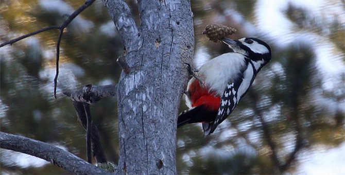 Tour Nature Outdoor Camp Tours Birdwatching Eco Travel Image 15