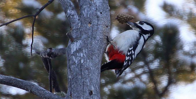 Tour Nature Outdoor Camp Tours Birdwatching Eco Travel Image 15