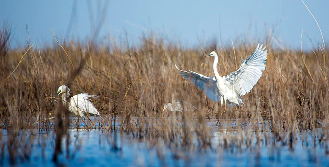 Tour Nature Outdoor Camp Tours Birdwatching Eco Travel Image 3