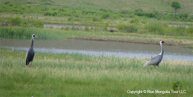 Tour Nature Outdoor Camp Tours Birdwatching Eco Travel Image 4