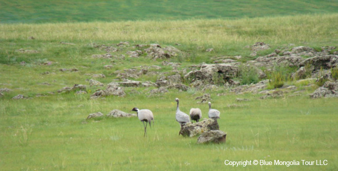 Tour Nature Outdoor Camp Tours Birdwatching Eco Travel Image 5