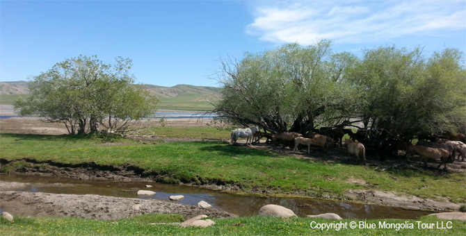 Tour Nature Outdoor Camp Tours Tent Camping Eco Tour Image 8