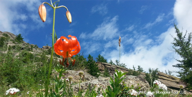 Tour Nature Outdoor Camp Tours Through Chinggis Khan Land Image 20