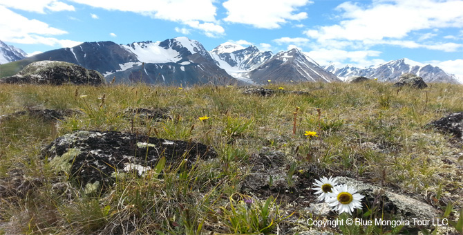 Tour Nature Outdoor Camp Tours Travel in Altai Mountains Image 01