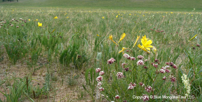 Tour Nature Outdoor Camp Tours Wildlife Observing Travel Image 10