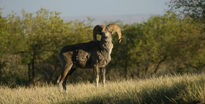 Tour Nature Outdoor Camp Tours Wildlife Observing Travel Image 15