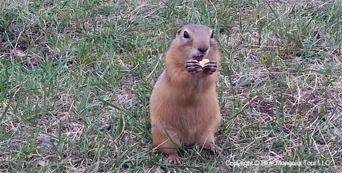 Tour Nature Outdoor Camp Tours Wildlife Observing Travel Image 19