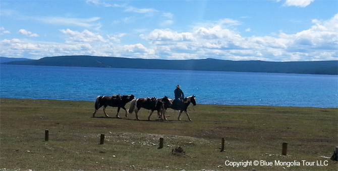 Tour Riding Active Equistrian Travel in North Part Image 2